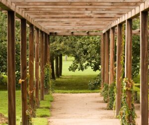 Lire la suite à propos de l’article Comment couvrir une pergola en bois ?