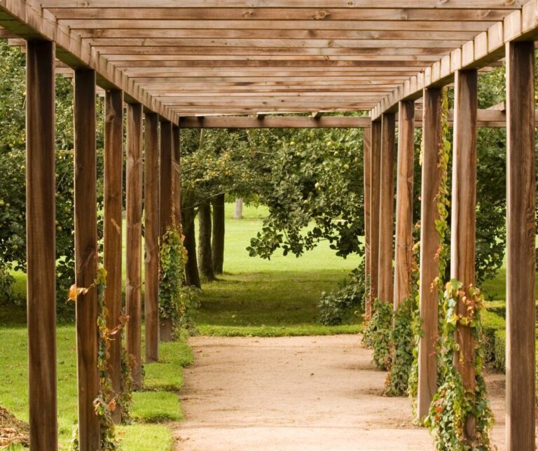 Lire la suite à propos de l’article Comment couvrir une pergola en bois ?