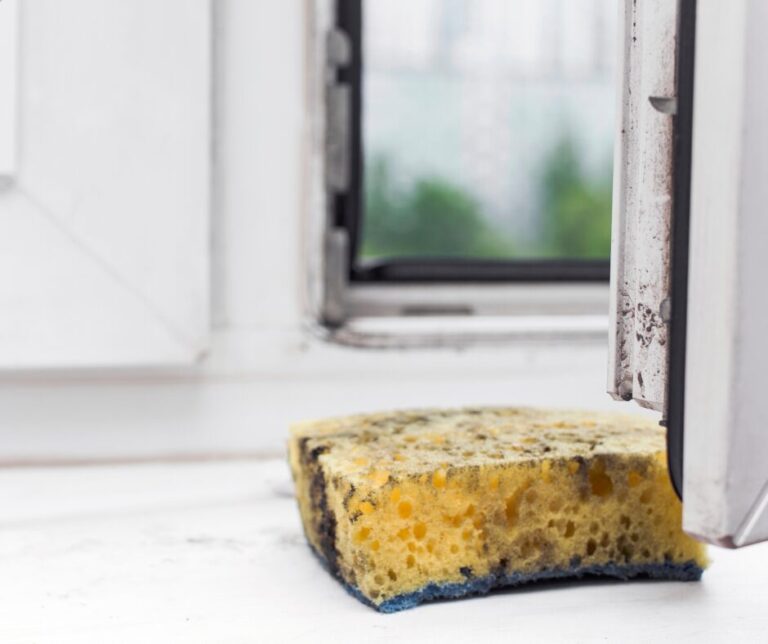 Lire la suite à propos de l’article Comment nettoyer des fenêtres en pvc ?