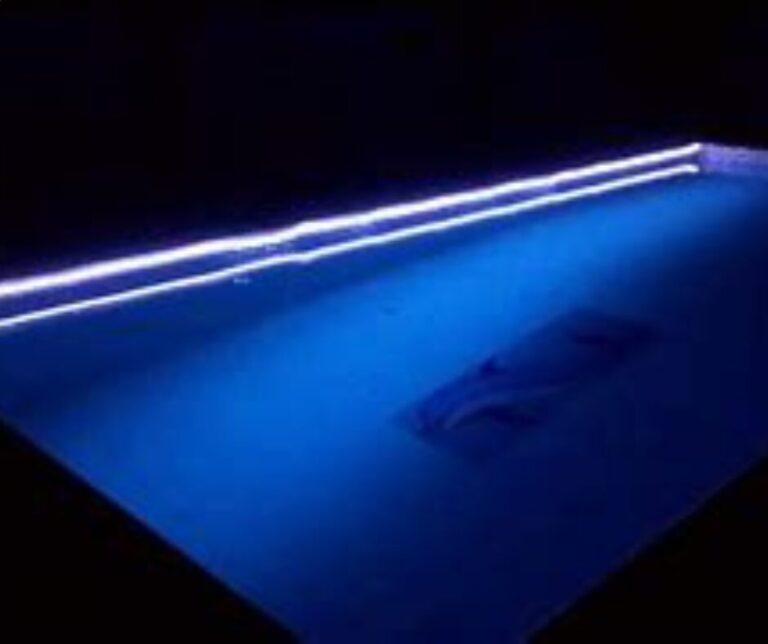 Lire la suite à propos de l’article Comment installer du ruban LED pour piscine ?