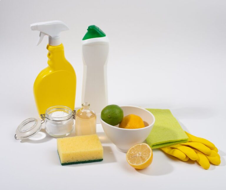 Lire la suite à propos de l’article Comment faire ses produits ménagers écologiques à la maison ? 