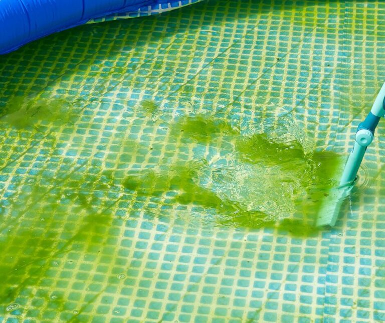 Lire la suite à propos de l’article Comment nettoyer une piscine très sale ?