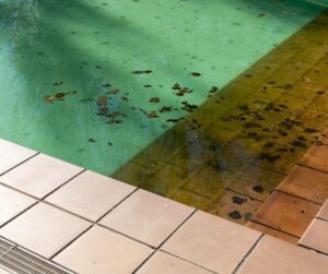 Lire la suite à propos de l’article Comment enlever les algues au fond d’une piscine ?