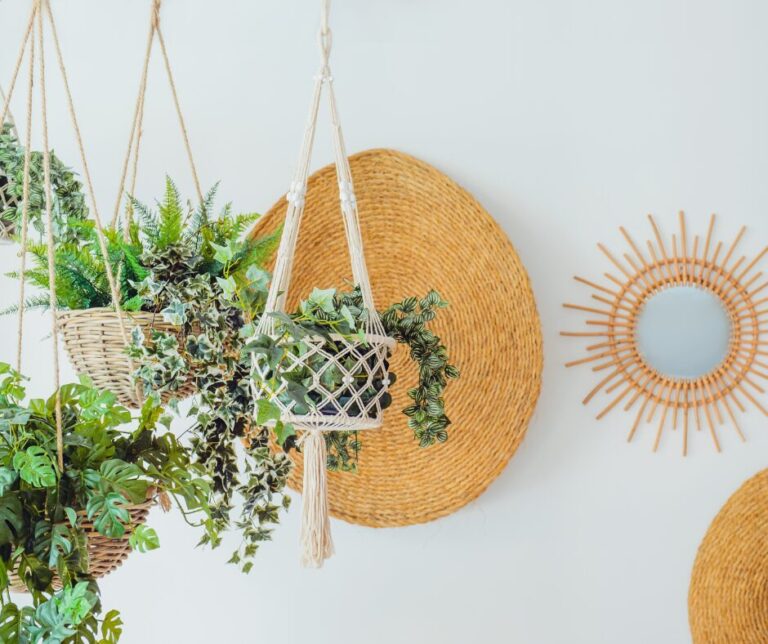 Lire la suite à propos de l’article Comment suspendre des plantes sans percer ?
