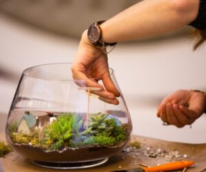 Lire la suite à propos de l’article Comment faire un terrarium ?